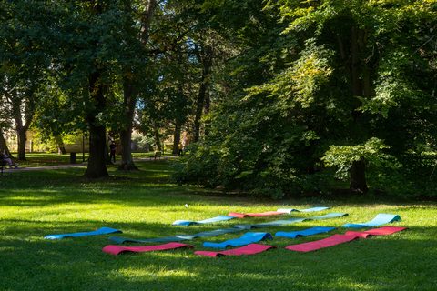 Živý park s Živou Lípou / rodinné odpoledne a koncerty